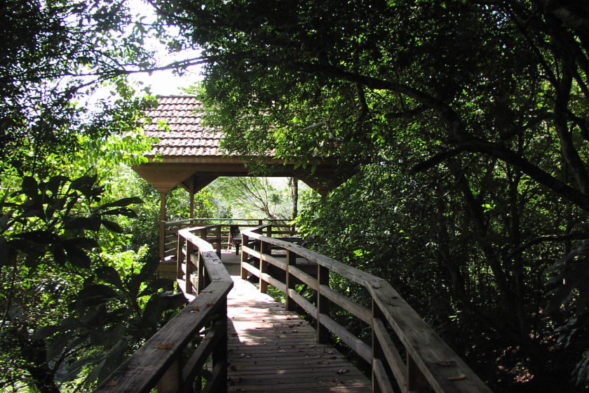Sweet Songs Jungle Lodge Grounds