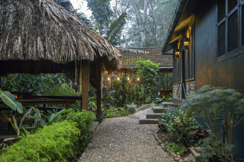 Treehouse Bar Entrance