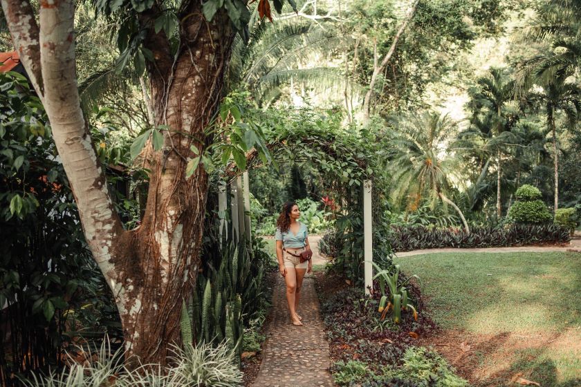 Sweet Songs Jungle Lodge Grounds