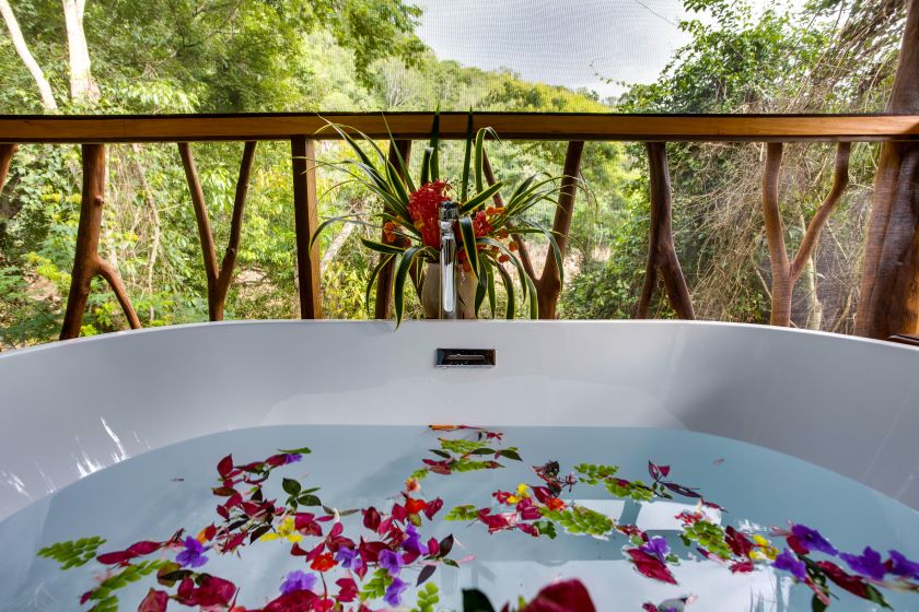 Premier Treehouse Balcony