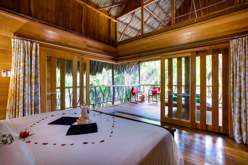 Premier Treehouse Interior