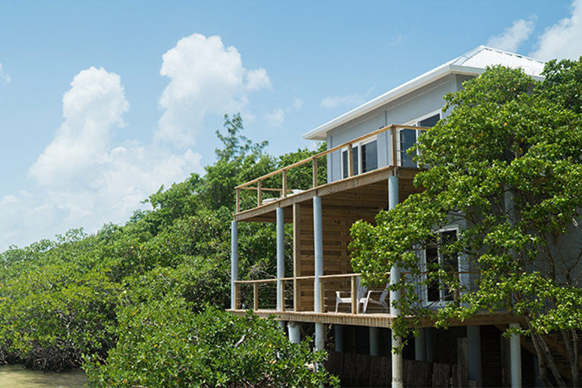 Thatch Caye Penthouse and Oceanfront Cabanas
