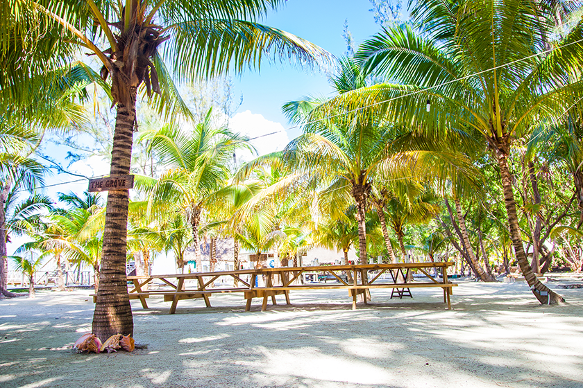 Family Style Dining Area