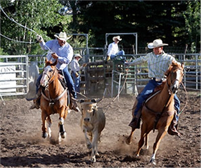 53:6e:6f:77:6d:61:73:73:20:56:69:6c:6c:61:67:65:20:52:6f:64:65:6f