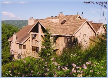 SnowPine Village Condo's