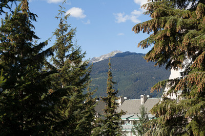 View from Deck