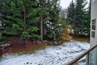 View from the deck