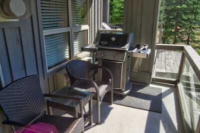 Patio with BBQ