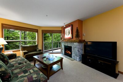 Living Room with Sofabed and Gas Fireplace