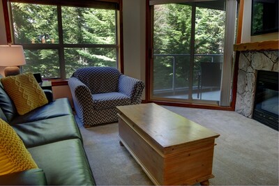 Living Room with Sofabed and Gas Fireplace