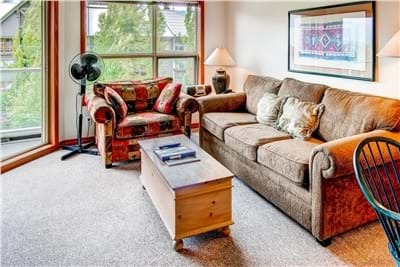 Living Room with Sofabed