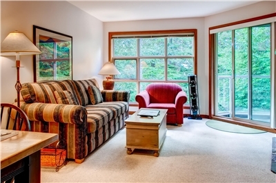 Living Room with Sofabed