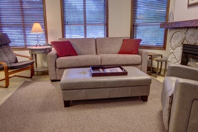 Living Room with sofabed