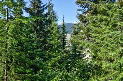 View from private deck