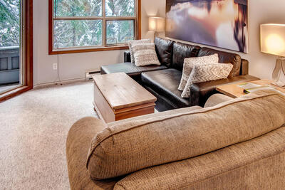 Living Room with Sofabed