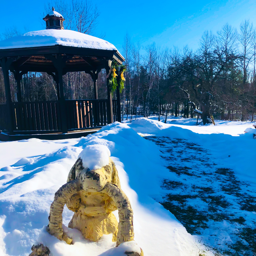 Backyard view form the Carriage House