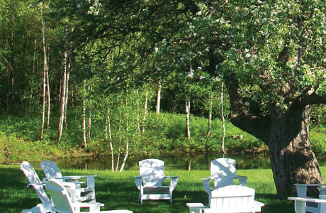 Enjoy and relax under our apple tree!