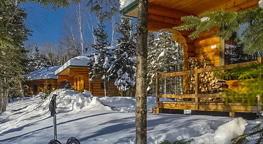 Chalets Scandinaves
