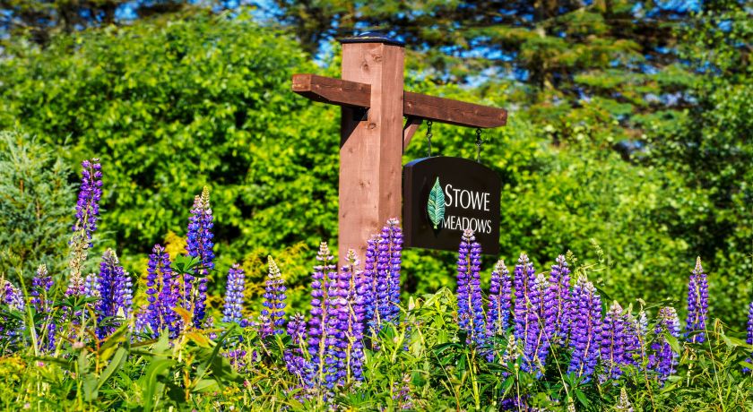 Welcome to Stowe Meadows