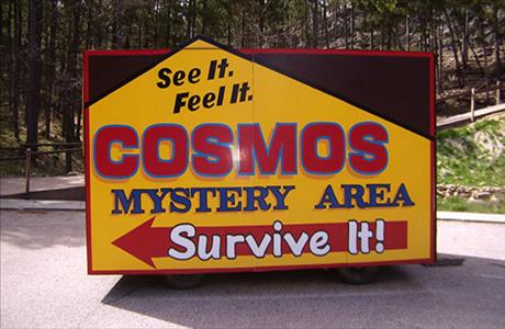 Cosmos Mystery Area - Survive It