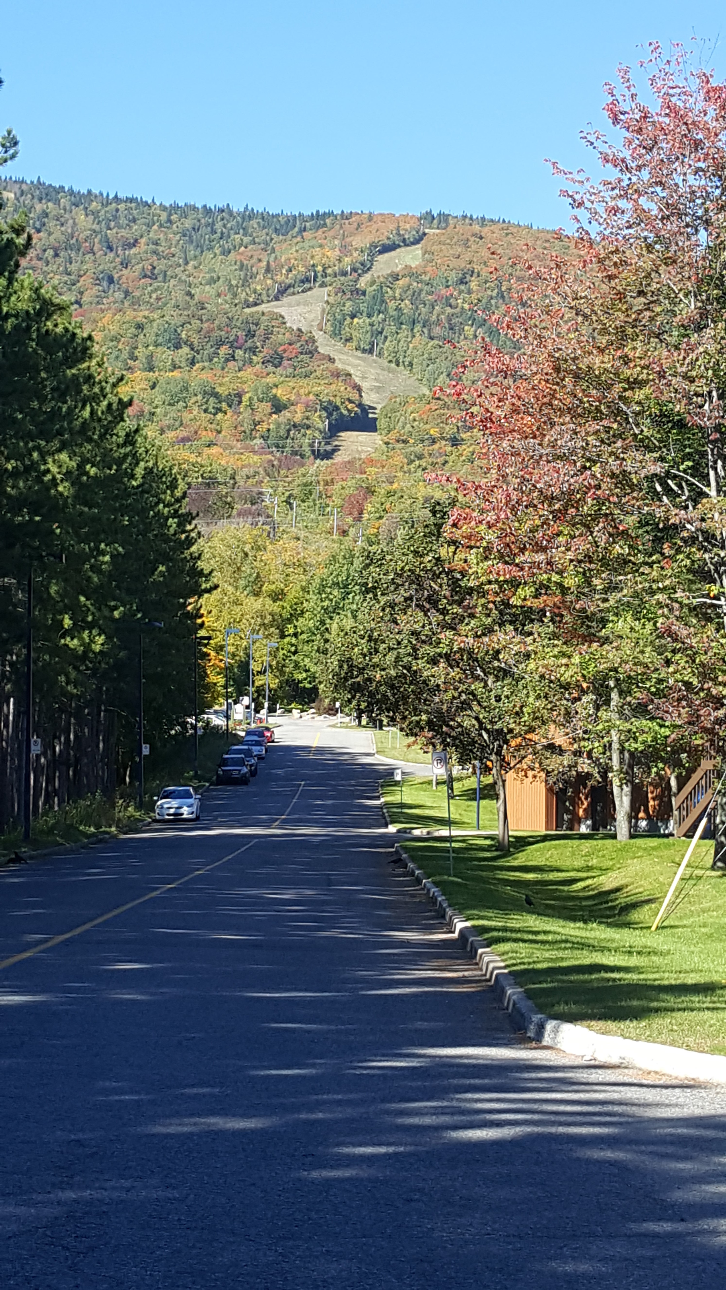 Tout près des pistes - Near the slopes.